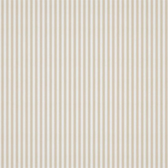 Carnival Stripe