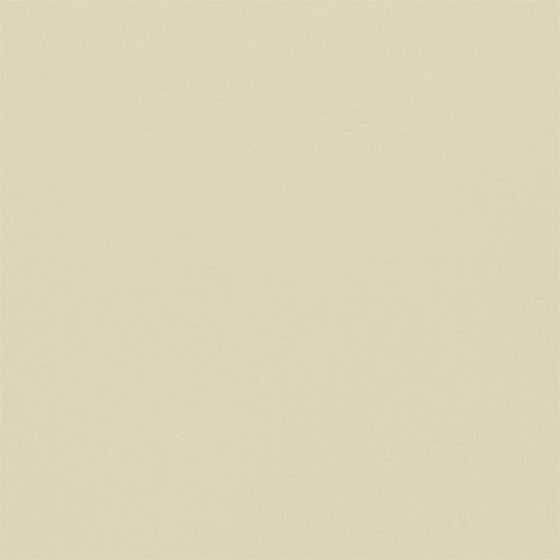 Empower Plain