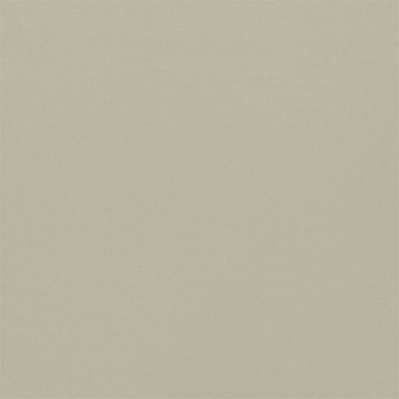 Empower Plain