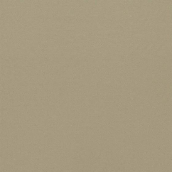 Empower Plain