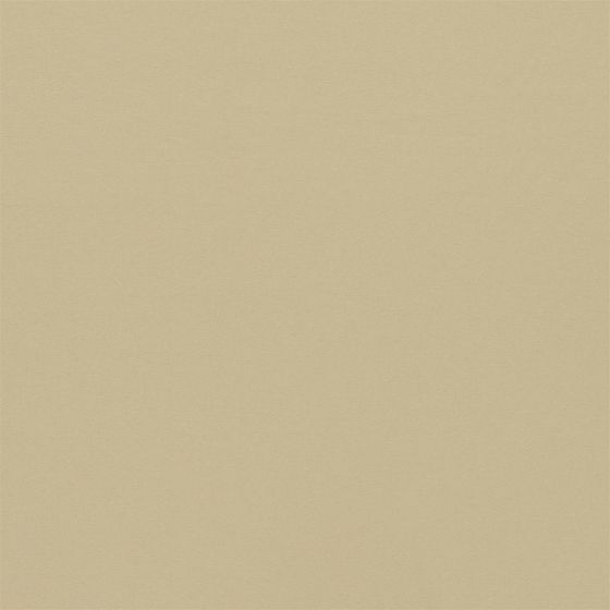 Empower Plain