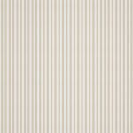 Carnival Stripe