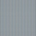 Carnival Stripe
