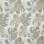 Deliciosa in Kiwi by Ashley Wilde Fabrics