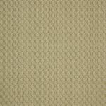 Kemble in Pistachio by iLiv Fabrics