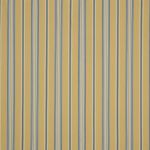 Portico in Ochre by iLiv Fabrics