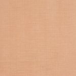 Tussah in Salmon by Prestigious Textiles