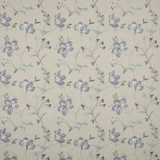 Cassia Amethyst Stock