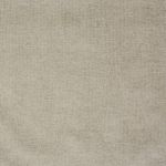 Bravo in Feather by Prestigious Textiles