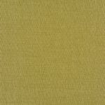 Franklin in Olive by Prestigious Textiles
