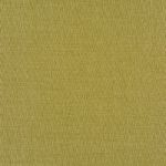 Franklin in Olive by Prestigious Textiles