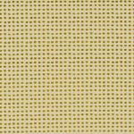 Polka