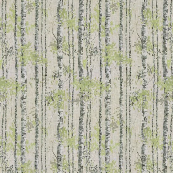 Birch Curtain Fabric in Sage