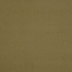 Panda in Olive BSPA07 by Richard Barrie