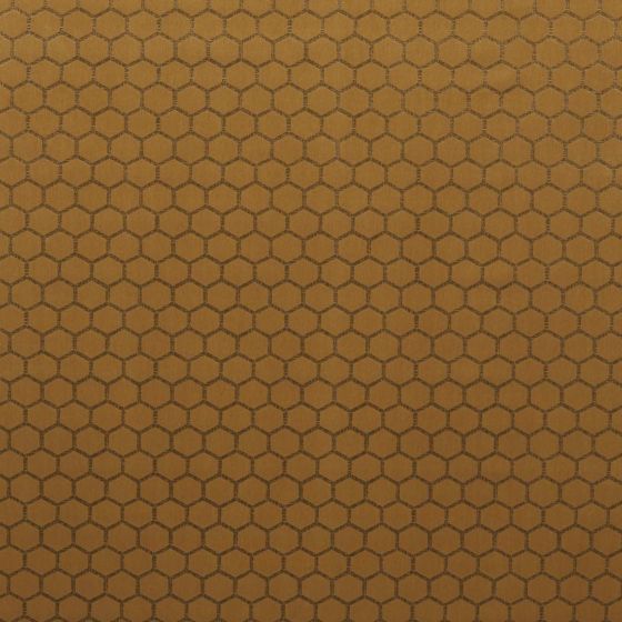 Hexa