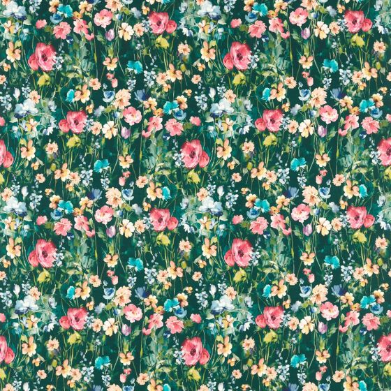 Wild Meadow