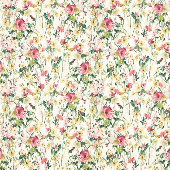 Wild Meadow