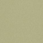 Rowland in Olive by Clarke and Clarke