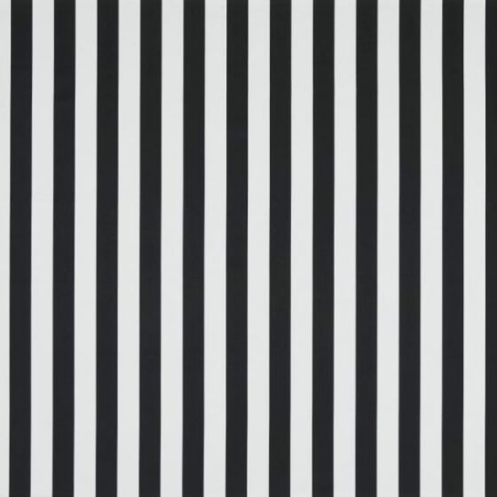Monochrome Stripe
