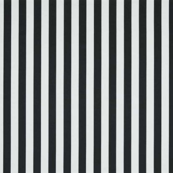 Monochrome Stripe