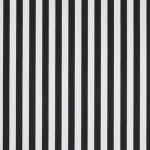 Monochrome Stripe in Monochrome by Sara Miller
