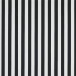 Monochrome Stripe