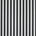 Monochrome Stripe