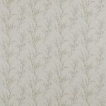 Pussy Willow