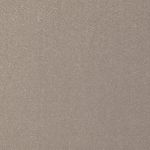 Zaniah in Champagne by Kai Fabrics