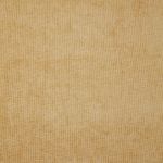 Seelay in Lemon by iLiv Fabrics