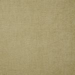 Seelay in Pistachio by iLiv Fabrics