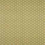 Indo in Pistachio by iLiv Fabrics