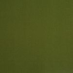 Ingleton in Grass by Prestigious Textiles