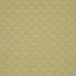 Vernazza in Citron by Prestigious Textiles