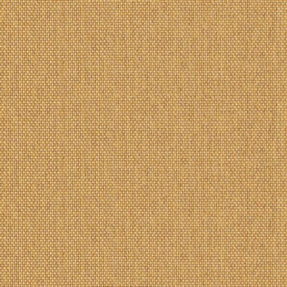 Cosmopolitan Plain