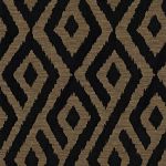 Kalahari in Ebony by Jim Dickens