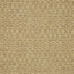 Nakura in Raffia by Jim Dickens