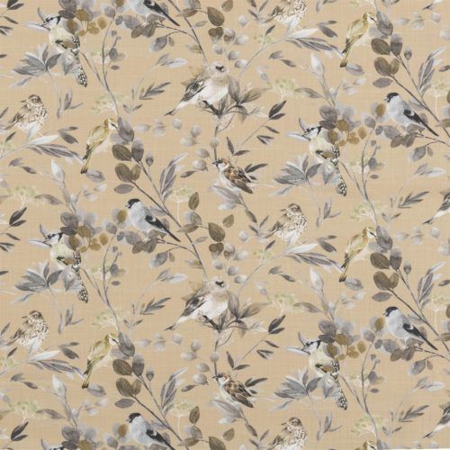 Songbirds