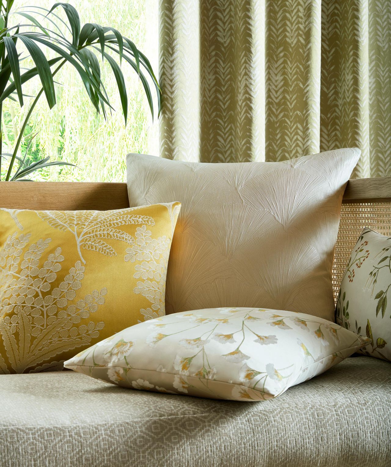 Palm House Collection by Ashley Wilde